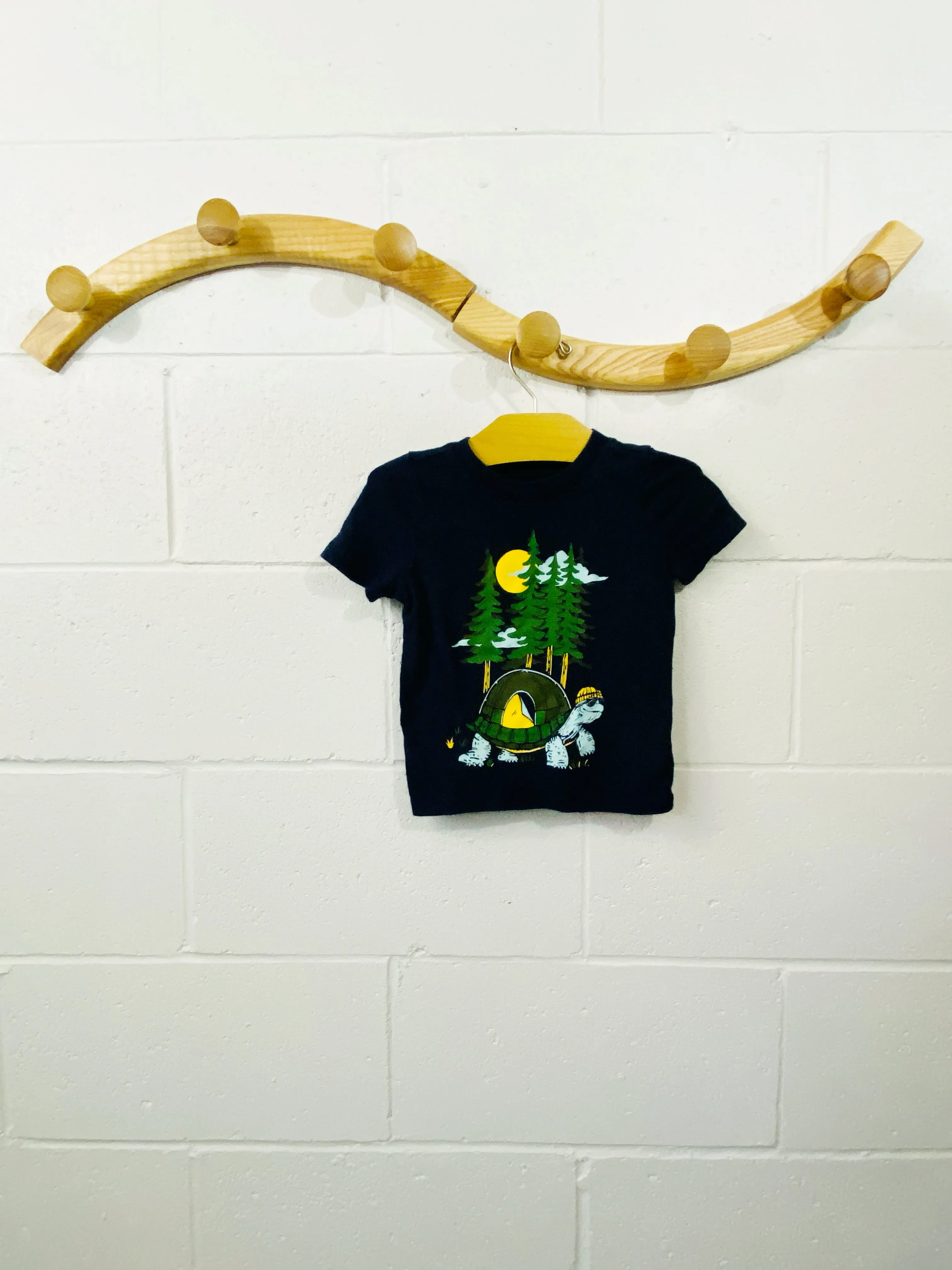Terrific Tortoise Tee Shirt, 18-24 months