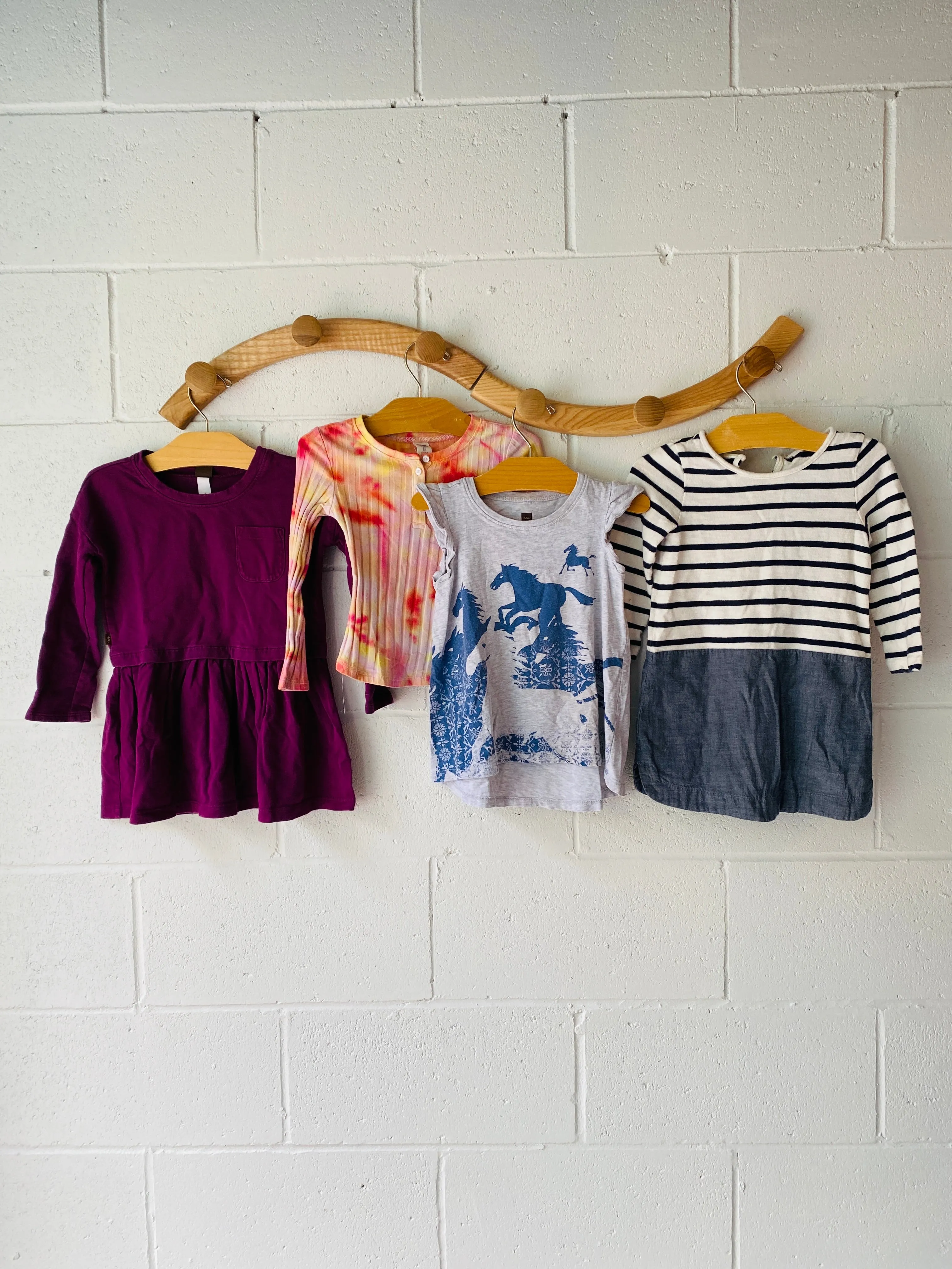 Wild Horses Bundle, 3 years